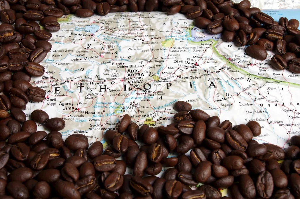 Ethiopia Yirgacheffe