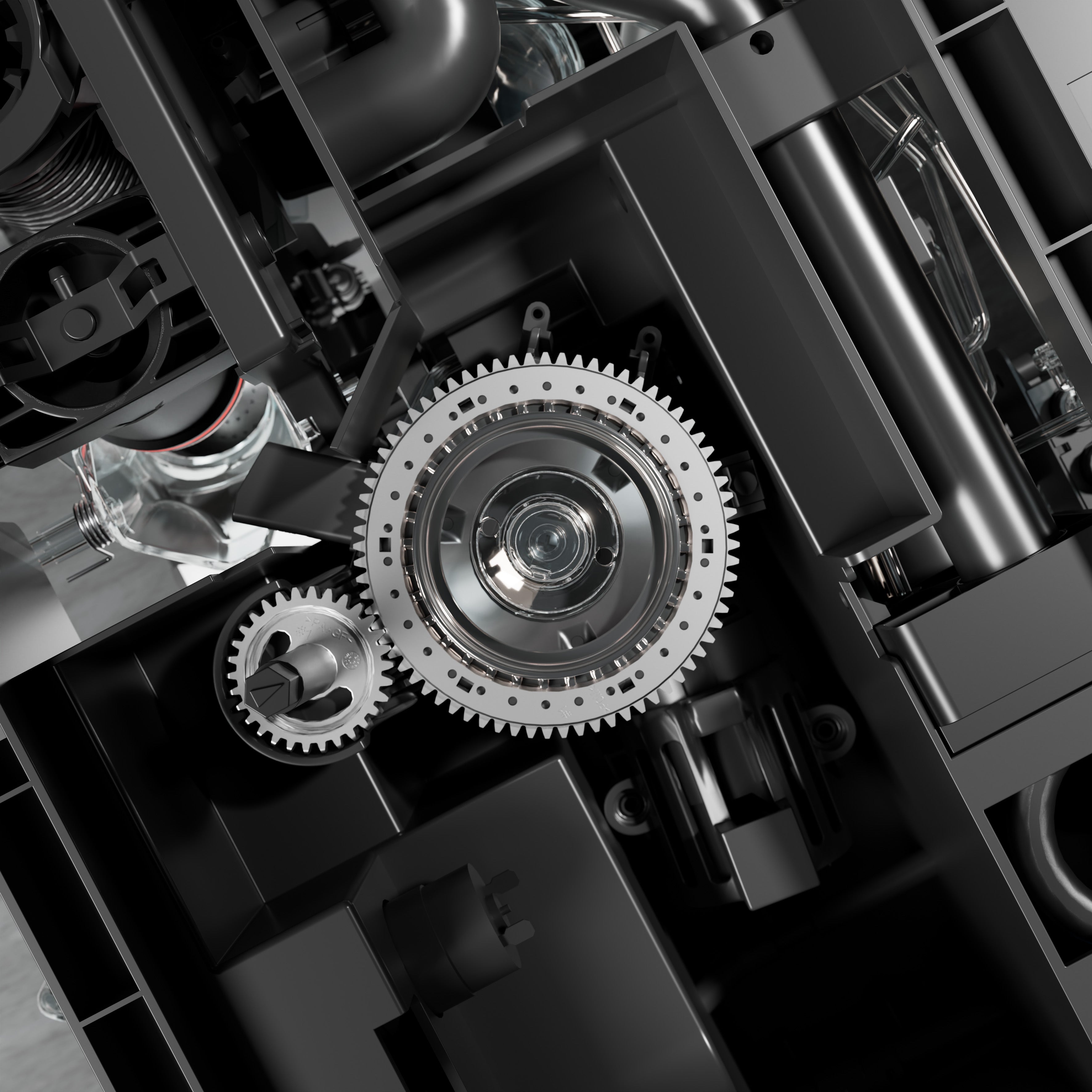 WMF Elevation 10